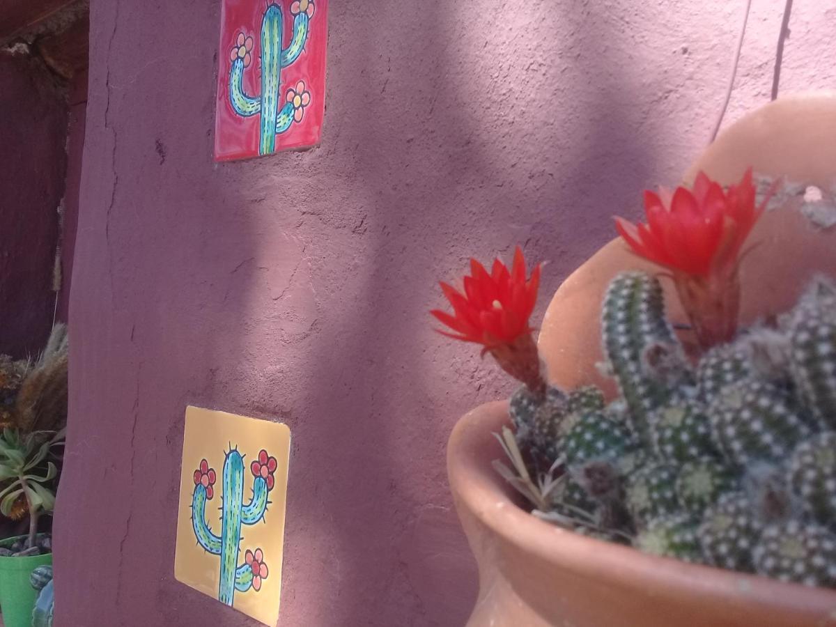 Cabana El Cardon,Casita En El Campo Quebradeno Humahuaca Kültér fotó