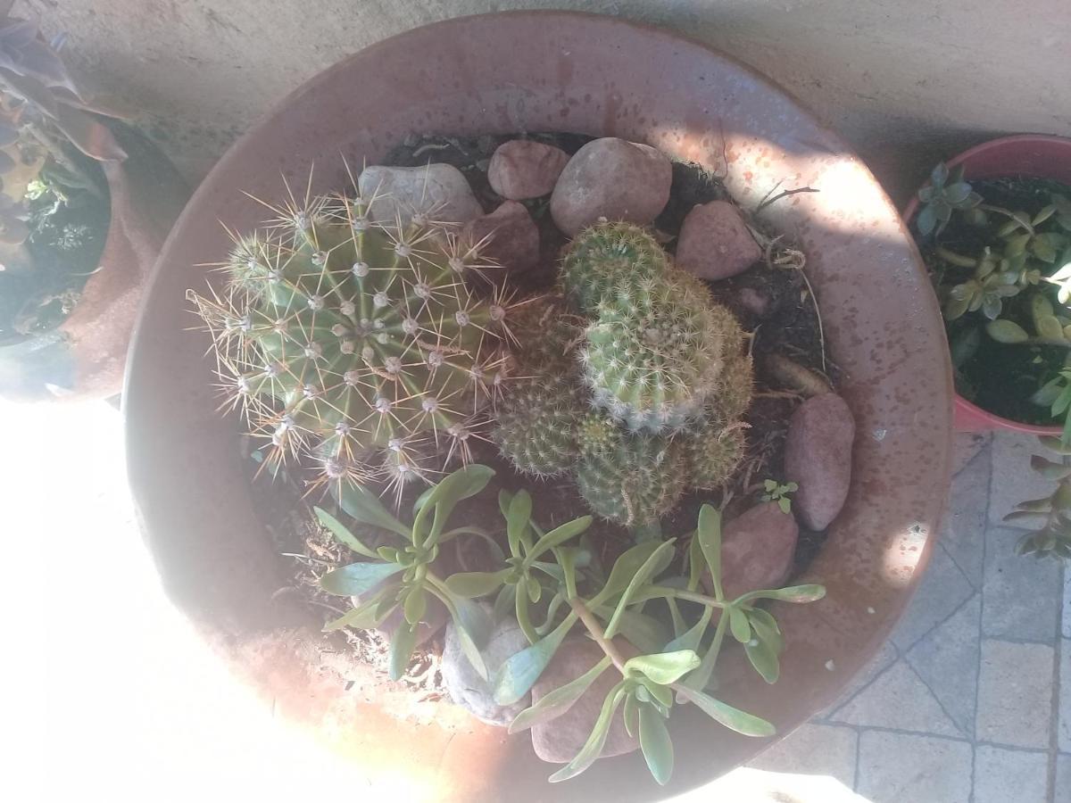 Cabana El Cardon,Casita En El Campo Quebradeno Humahuaca Kültér fotó