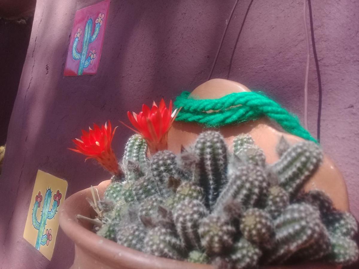 Cabana El Cardon,Casita En El Campo Quebradeno Humahuaca Kültér fotó
