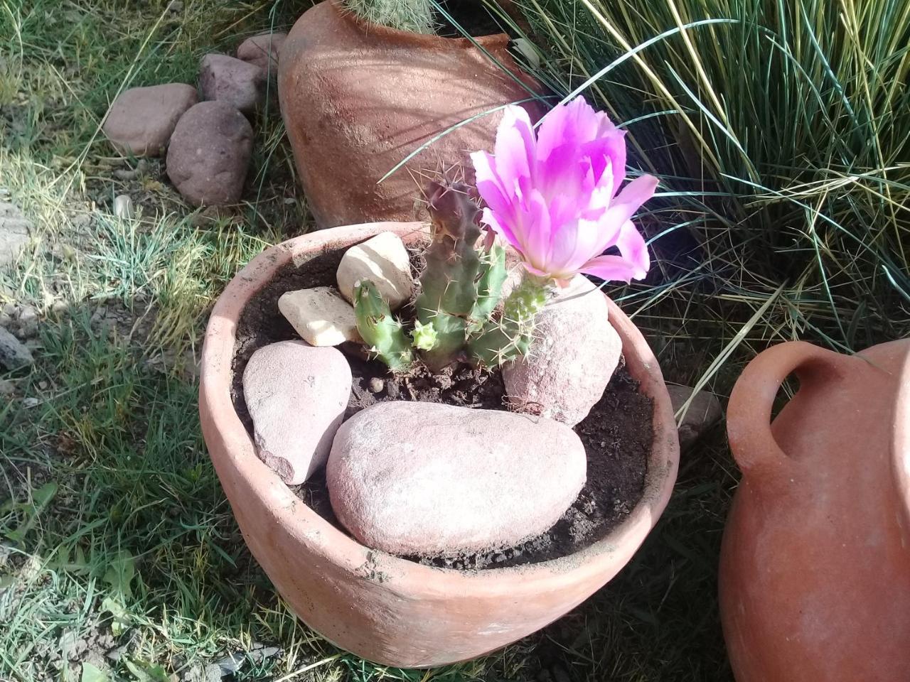Cabana El Cardon,Casita En El Campo Quebradeno Humahuaca Kültér fotó