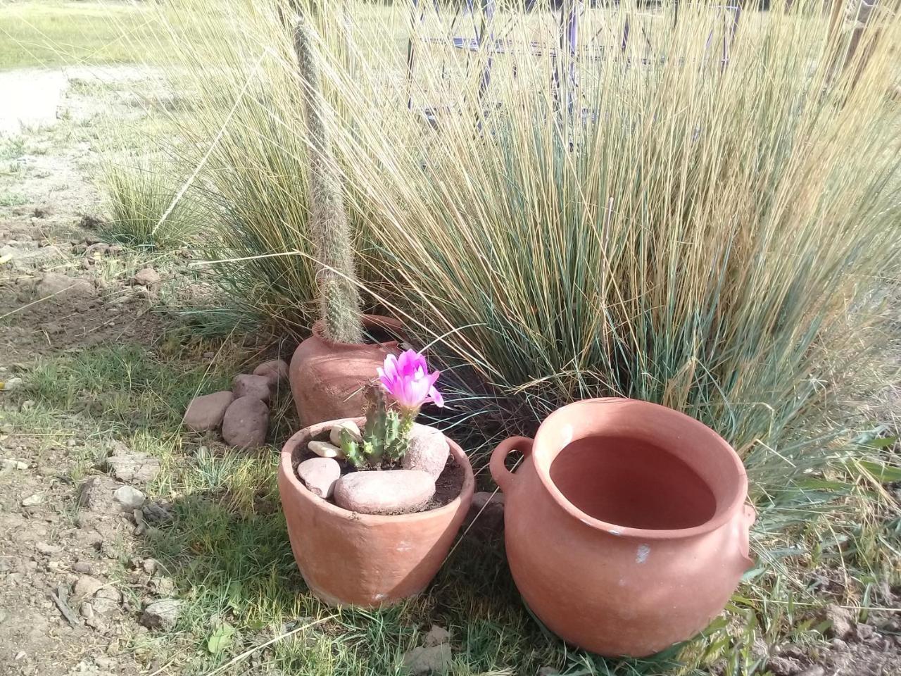 Cabana El Cardon,Casita En El Campo Quebradeno Humahuaca Kültér fotó