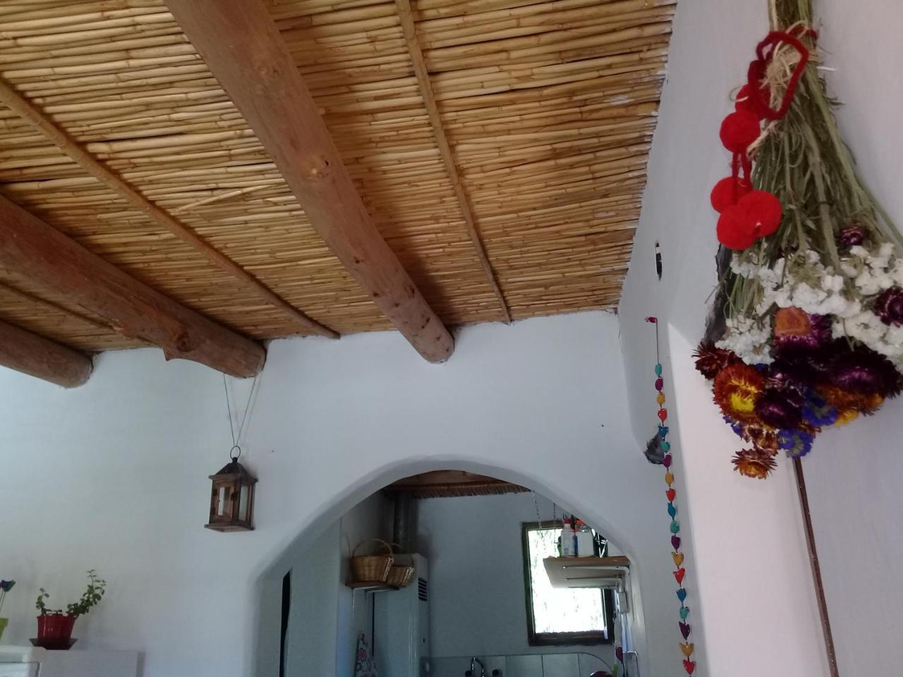 Cabana El Cardon,Casita En El Campo Quebradeno Humahuaca Kültér fotó