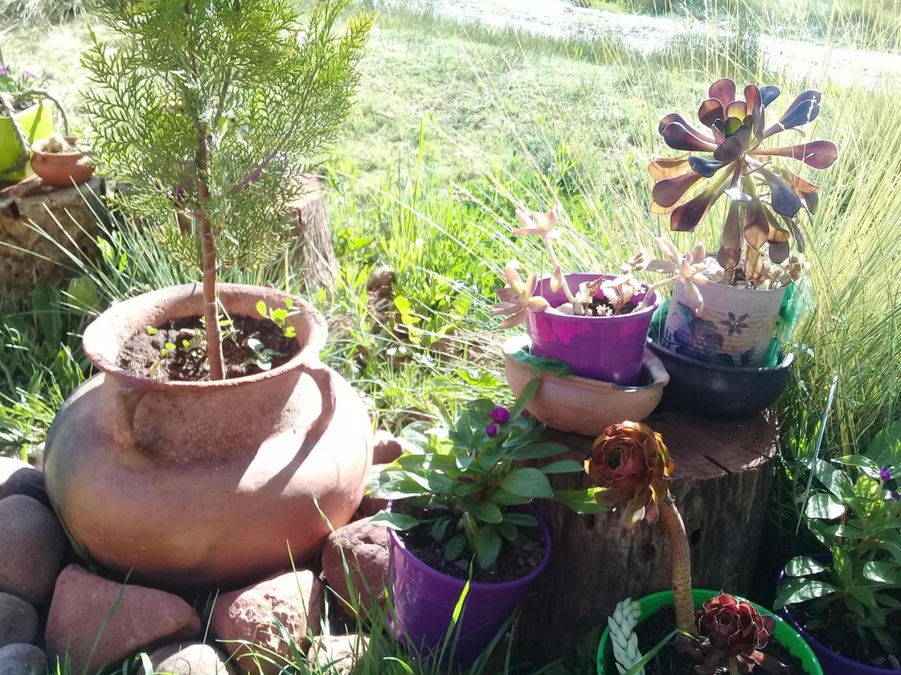 Cabana El Cardon,Casita En El Campo Quebradeno Humahuaca Kültér fotó