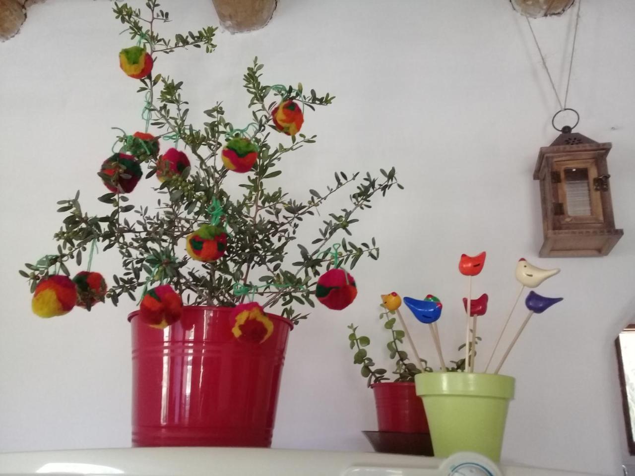 Cabana El Cardon,Casita En El Campo Quebradeno Humahuaca Kültér fotó