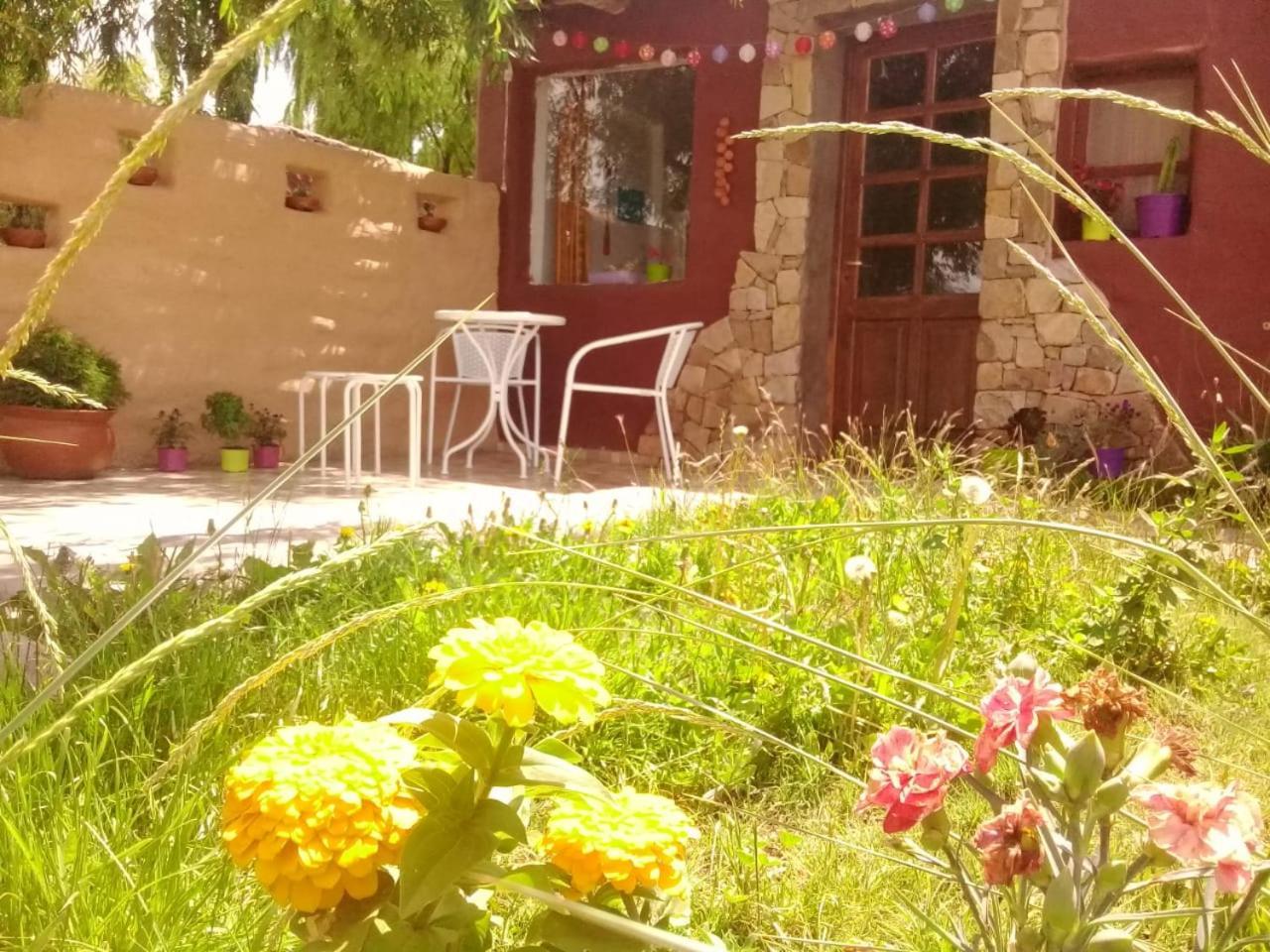 Cabana El Cardon,Casita En El Campo Quebradeno Humahuaca Kültér fotó