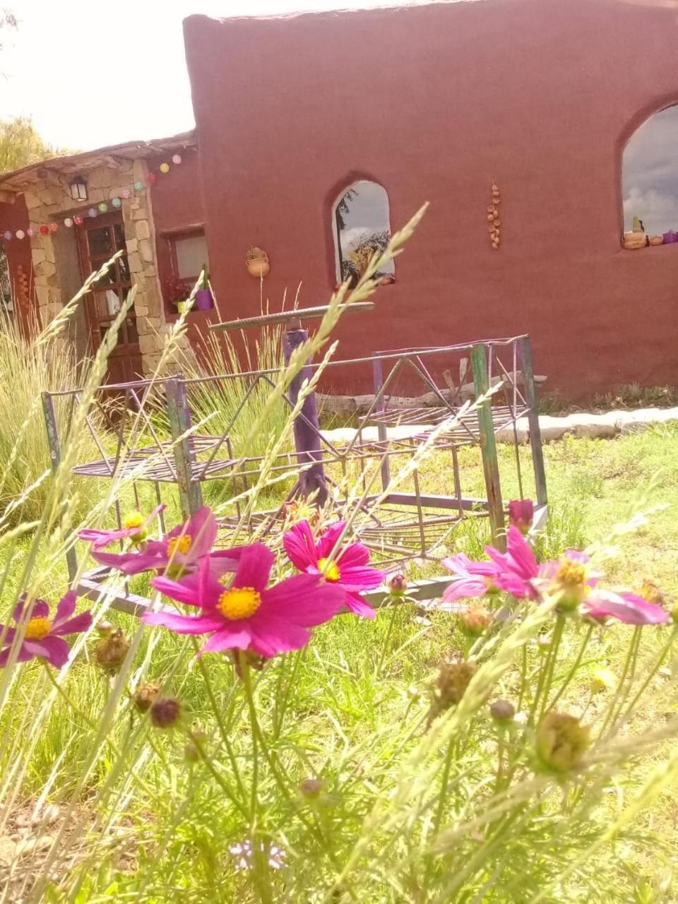 Cabana El Cardon,Casita En El Campo Quebradeno Humahuaca Kültér fotó