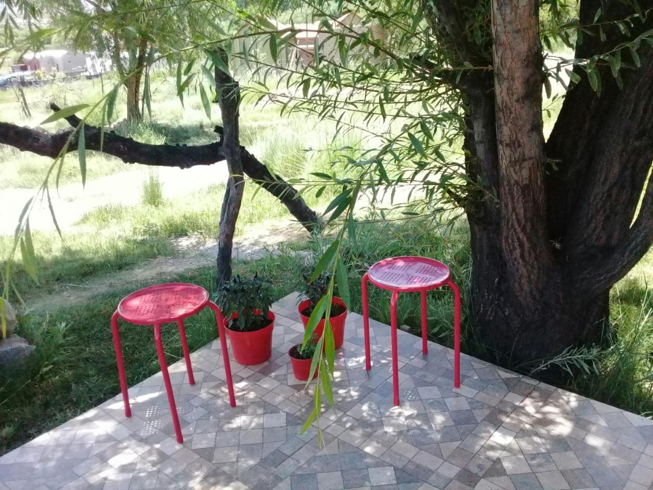 Cabana El Cardon,Casita En El Campo Quebradeno Humahuaca Kültér fotó
