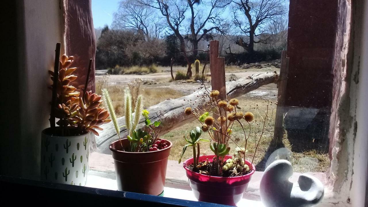 Cabana El Cardon,Casita En El Campo Quebradeno Humahuaca Kültér fotó